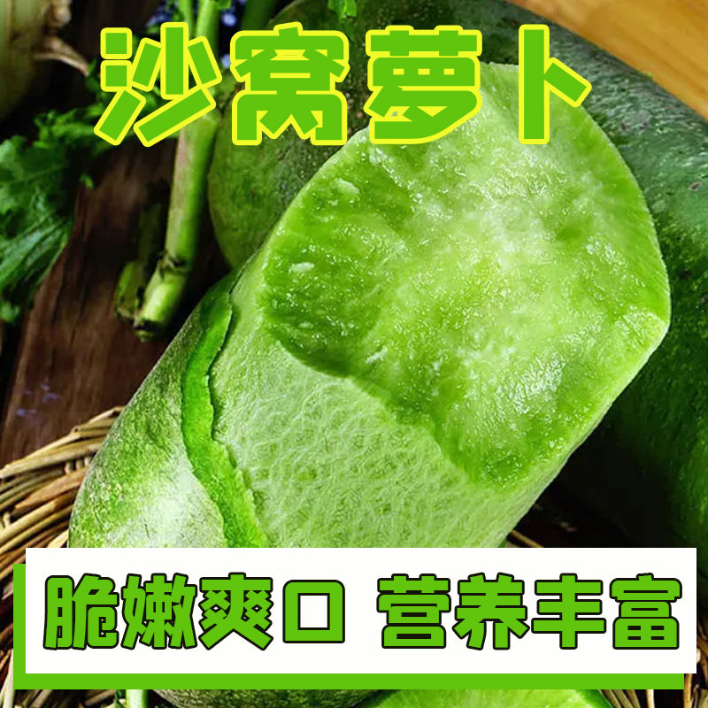 水果萝卜青萝卜新鲜当季蔬菜农家自种现挖生吃脆甜水果萝卜5/10NM