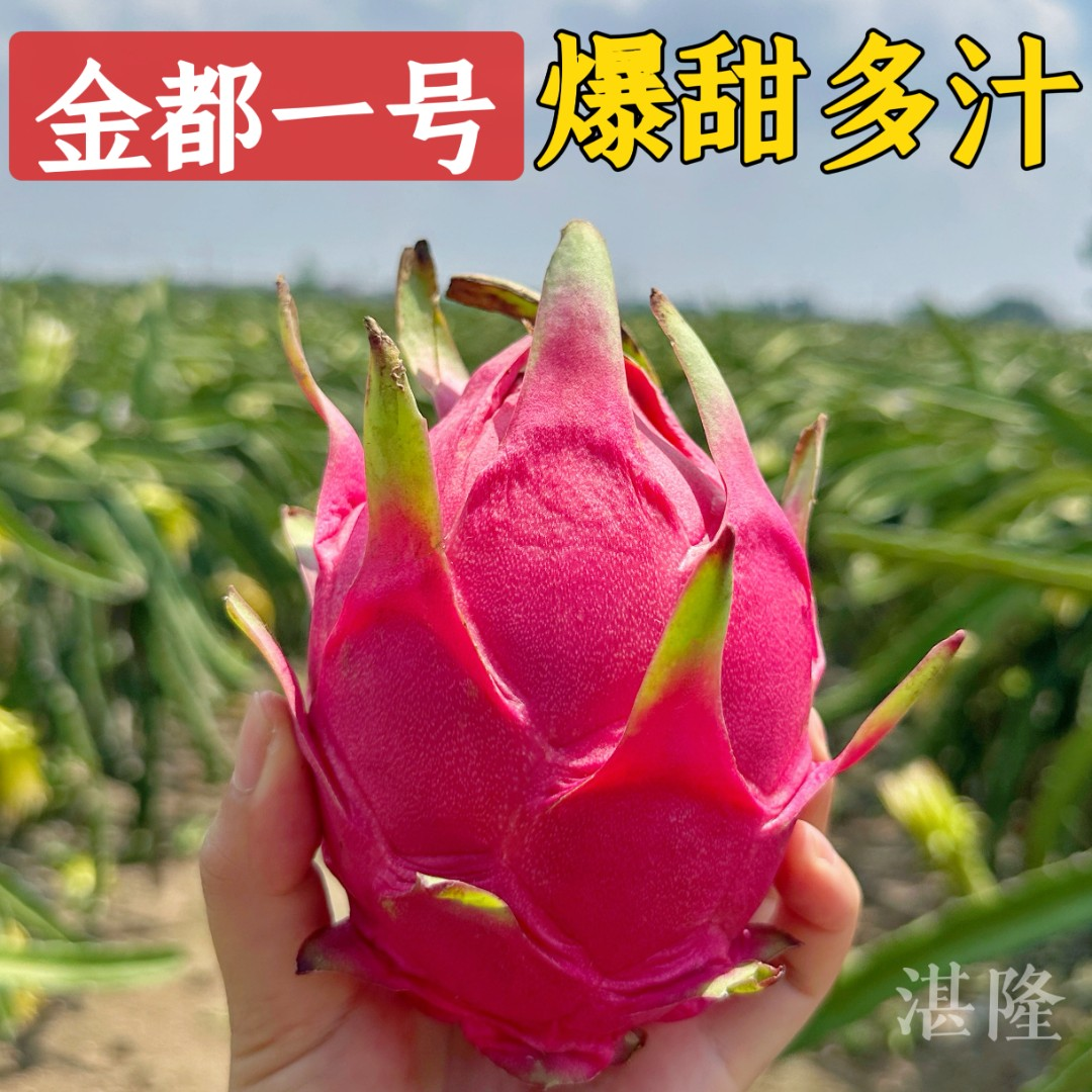 金都一号红心火龙果新鲜整箱批发5斤商品图