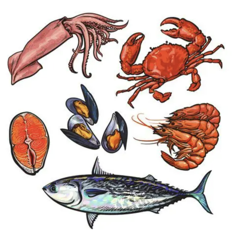 【2号福州同城可拍】福州发货 新鲜海鲜 食用【包鲜不包活】