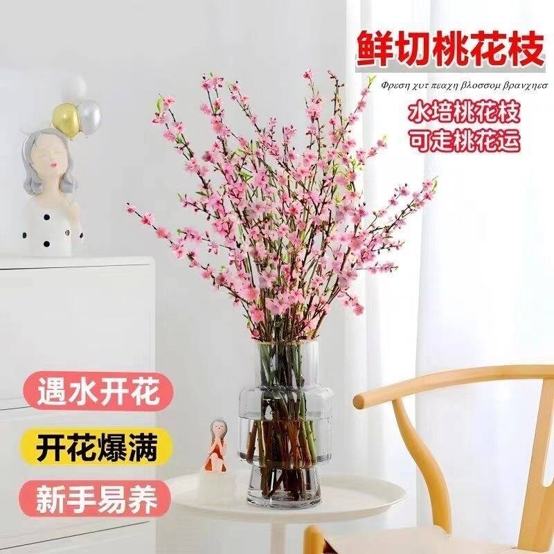 新春鲜切梅花遇水开花带花苞发水培开花冬季室内干枝年宵花卉红梅