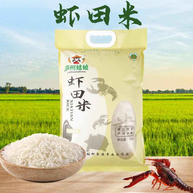 【雨农精选】新米现磨长粒新籼米虾田米10斤食用优质软糯醇香真空