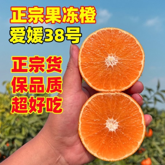 【新鲜采摘】四川爱媛38号直供果冻橙8斤皮薄无籽正宗产品品质