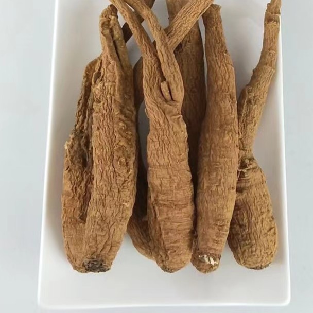 【袁治哥推荐】丽江当归