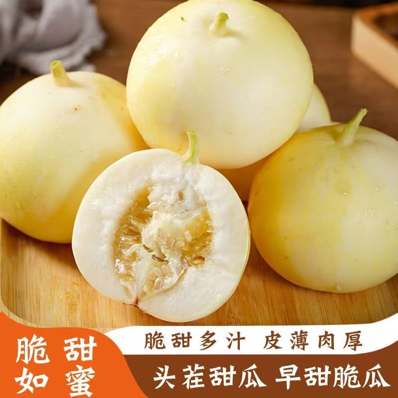 山东头茬早甜脆瓜小蜜蜂甜瓜星甜马连庄蜜罐玉菇自然新鲜当季水果