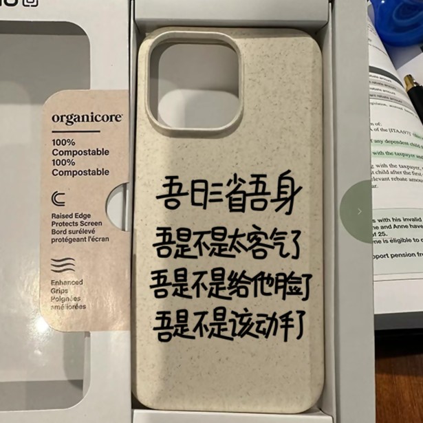 三省吾身适用于苹果15/13promax手机壳12华为/vivo/小米/oppo创意