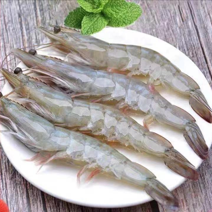 【小风生鲜】宁德海捕大虾 活虾鲜冻  地道海味 海鲜水产 3斤/盒