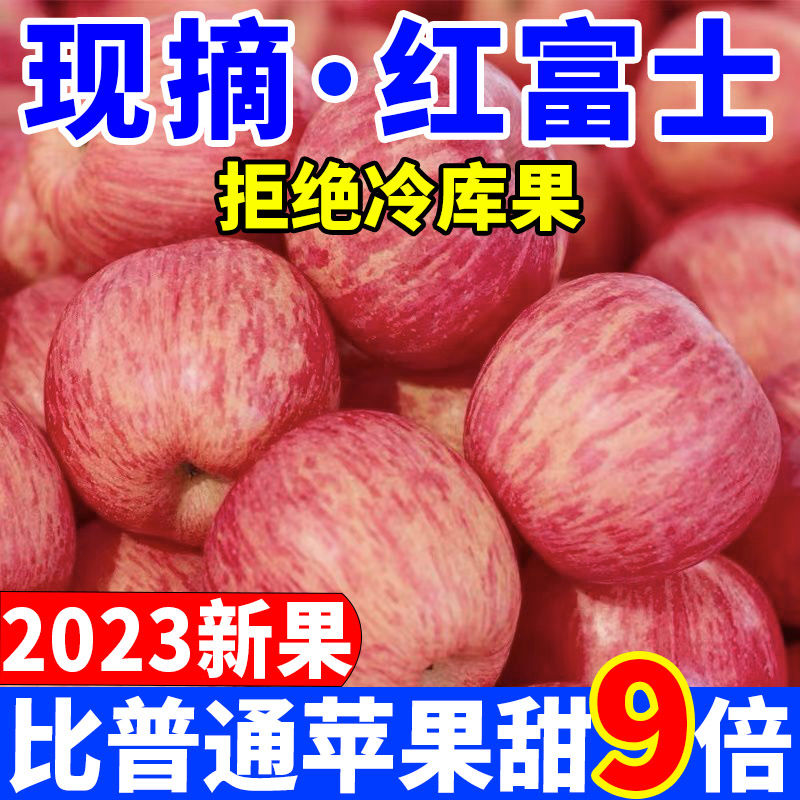 PG【脆甜多汁】陕西冰糖心红富士苹果当季水果新鲜包邮整箱1-9斤发