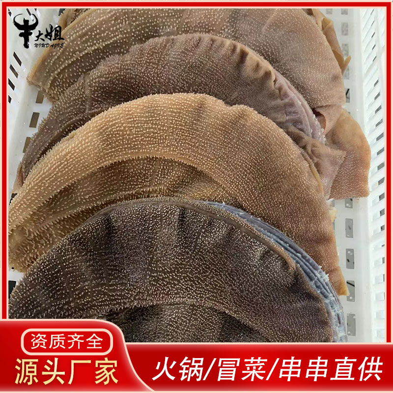 新鲜毛肚大刀叶片牛百叶冰鲜毛肚片重庆火锅酒店串串自助商用批发