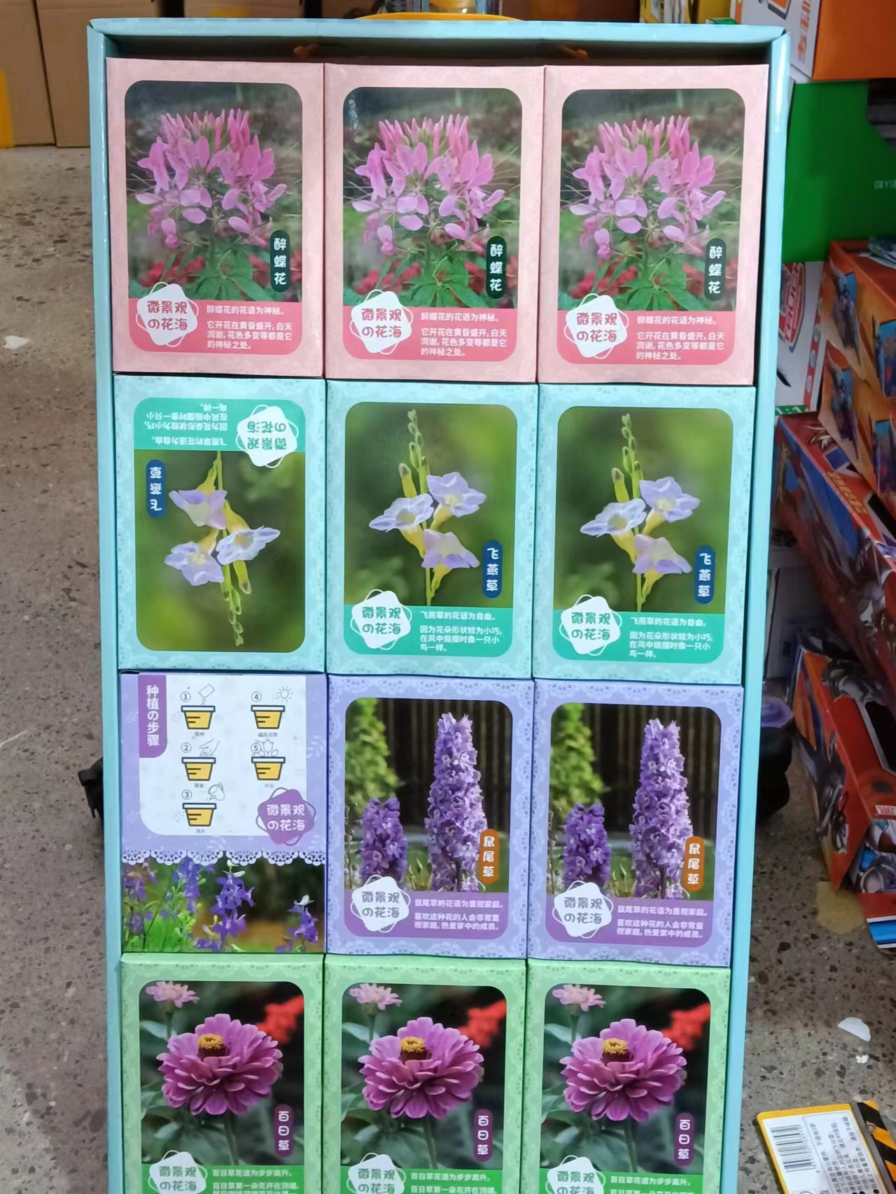 种植花玩具4盒，种植花玩具4盒