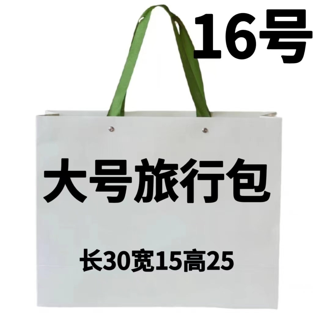 F 16号包  2023新款大小旅行包3