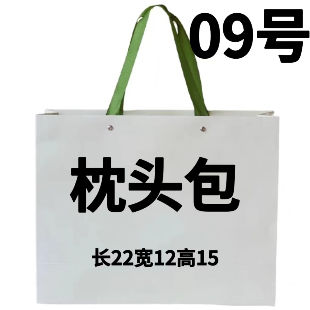 TS 09包 超火2023新款流行枕头包 手提单肩斜挎 6507-1#