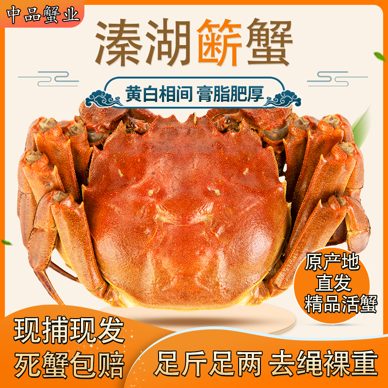 【甄选大闸蟹】公母搭配 公4.0两 母3.0两 5对10只  江苏空运发货