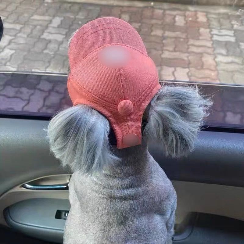 狗狗棒球帽泰迪法斗柯基头盔柴犬金毛夏季太阳防晒鸭舌帽宠物帽子