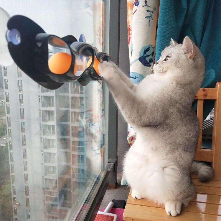 L猫玩具猫轨道窗台吸盘玩具球猫抓逗猫波浪球乒乓球逗猫益智玩具