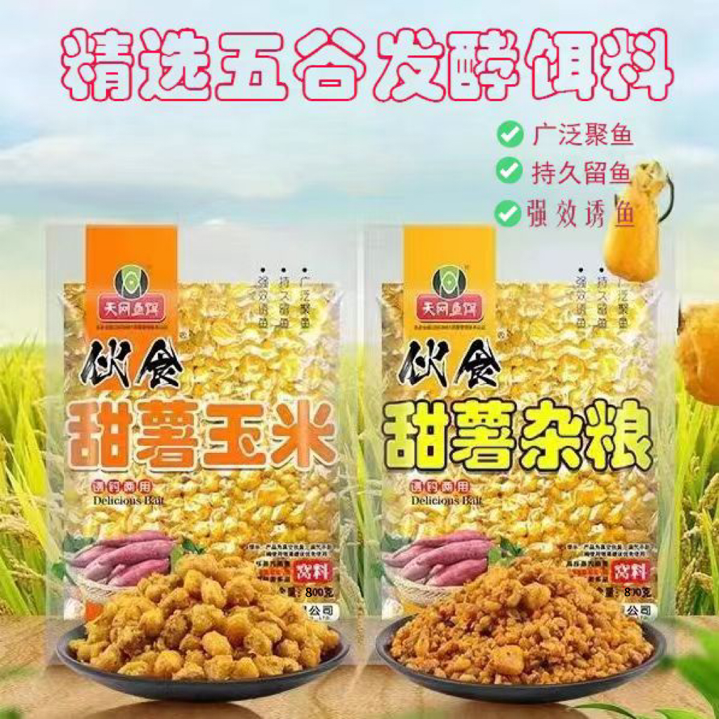 天网鱼饵伙食甜薯杂粮玉米麦粒稻谷窝料诱钓两用水库野钓800克