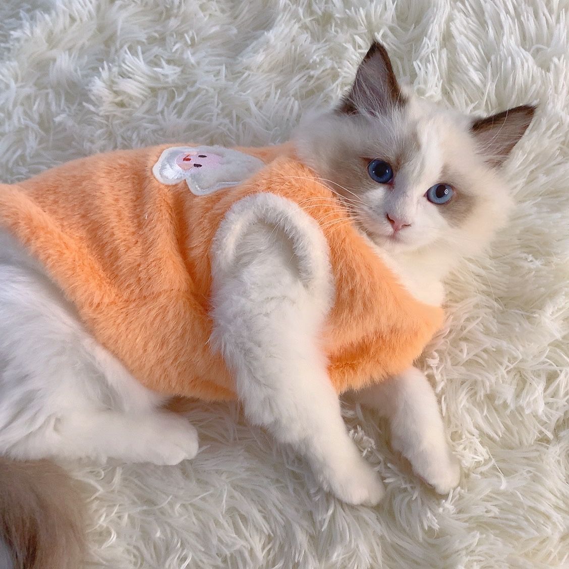 猫咪可爱秋冬季衣服狗狗冬保暖加厚背心防掉毛布偶宠物衣服小型犬