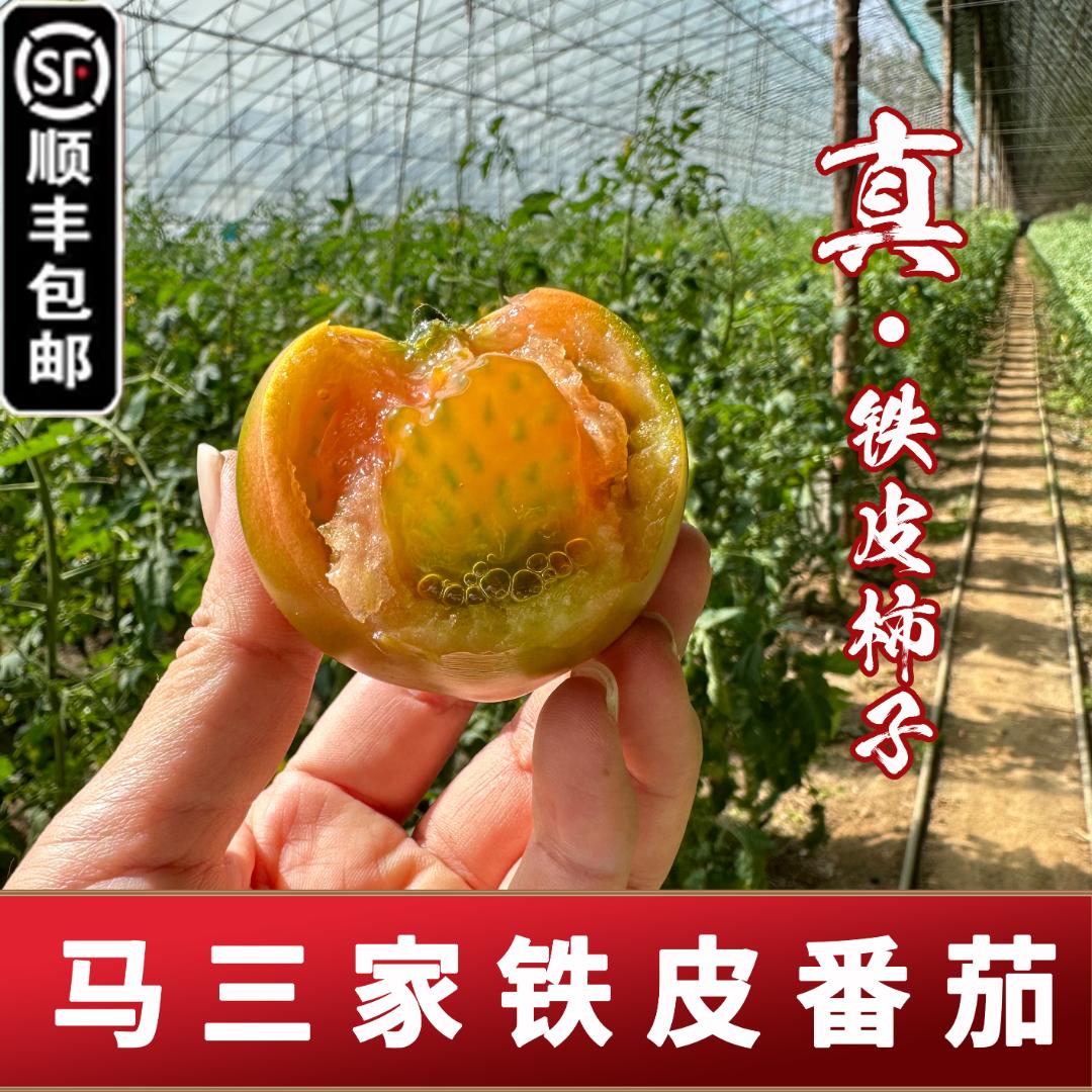 【顺丰包邮】马三家铁皮柿子草莓西红柿碱地水果正宗口感番茄5斤