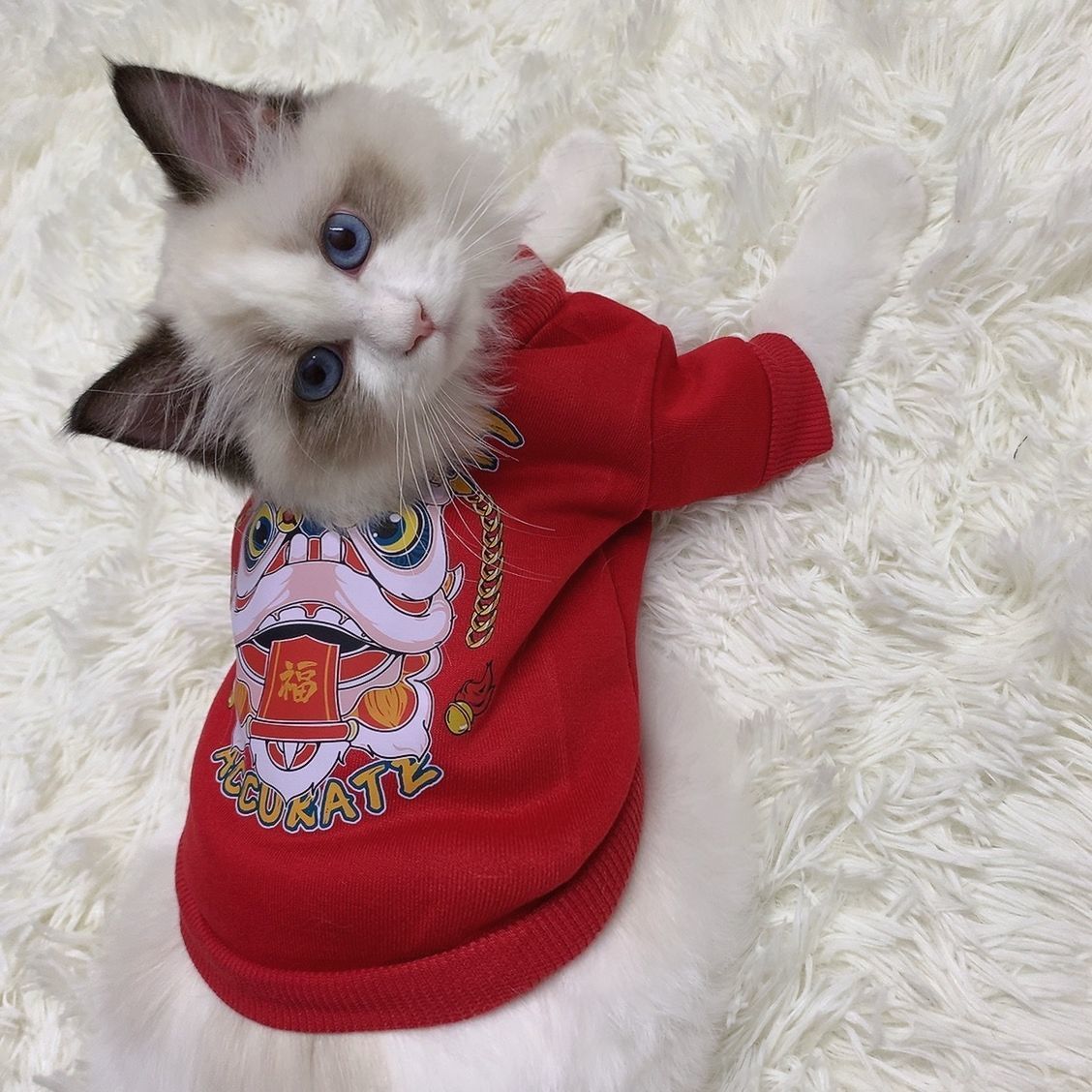 猫咪衣服秋冬新年过年衣服狗狗宠物衣服保暖蓝猫小猫喜庆可爱红色
