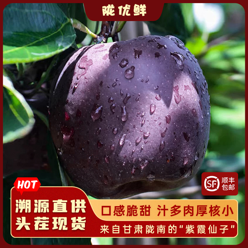 陇优鲜【甘肃黑苹果】黑钻苹果75-95mm 稀有好吃营养24K年味