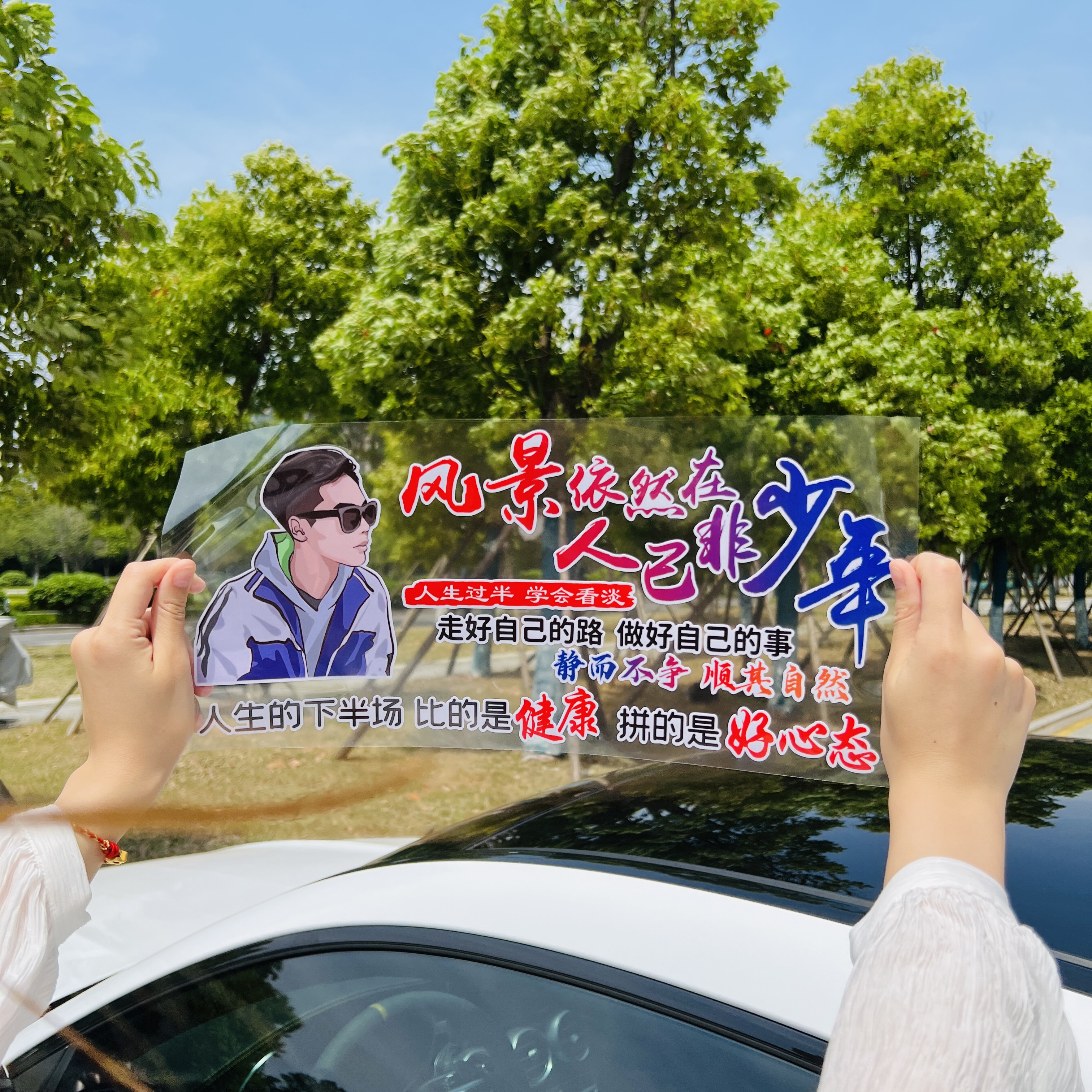 风景依然在 人已非少年 人生过半 学会看淡 个性创意   汽车车贴