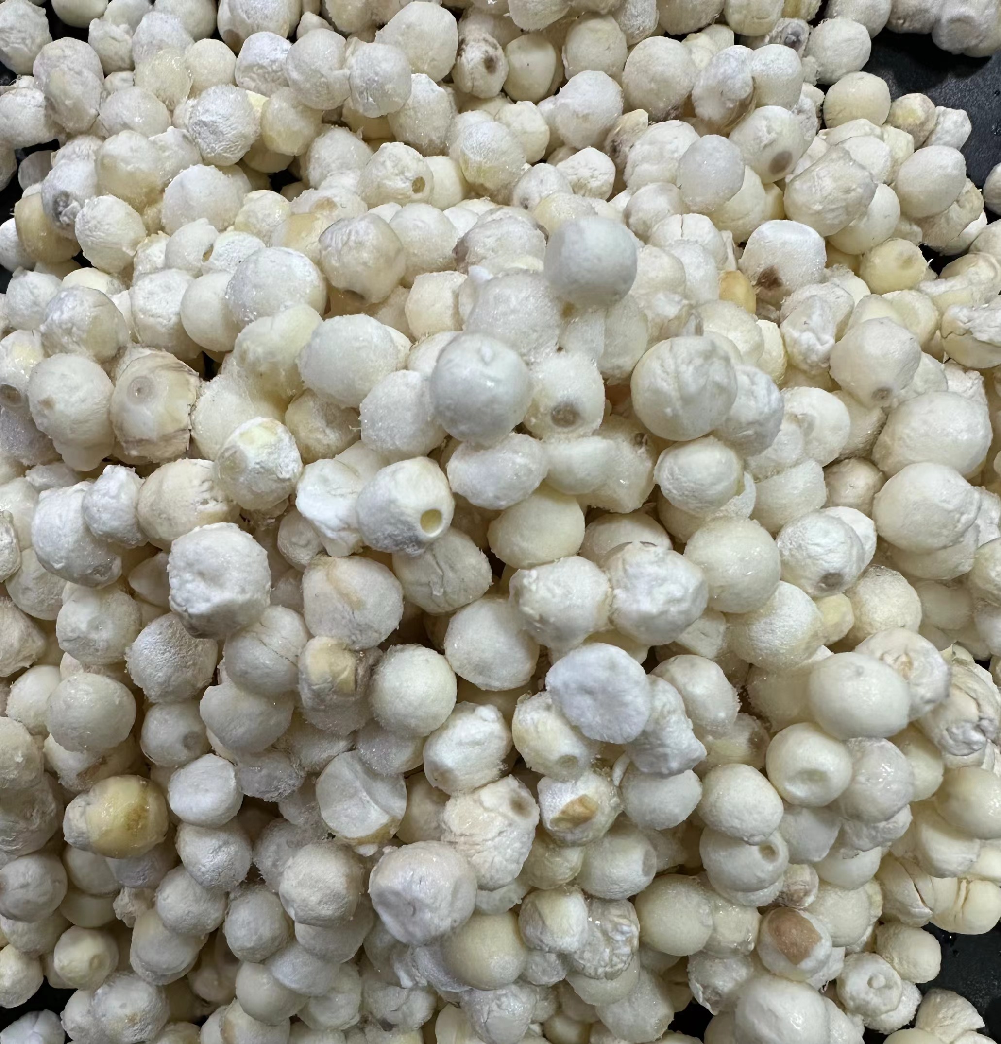 【鲜芡实】农产品袋装好吃甜品冷链发货蔬菜