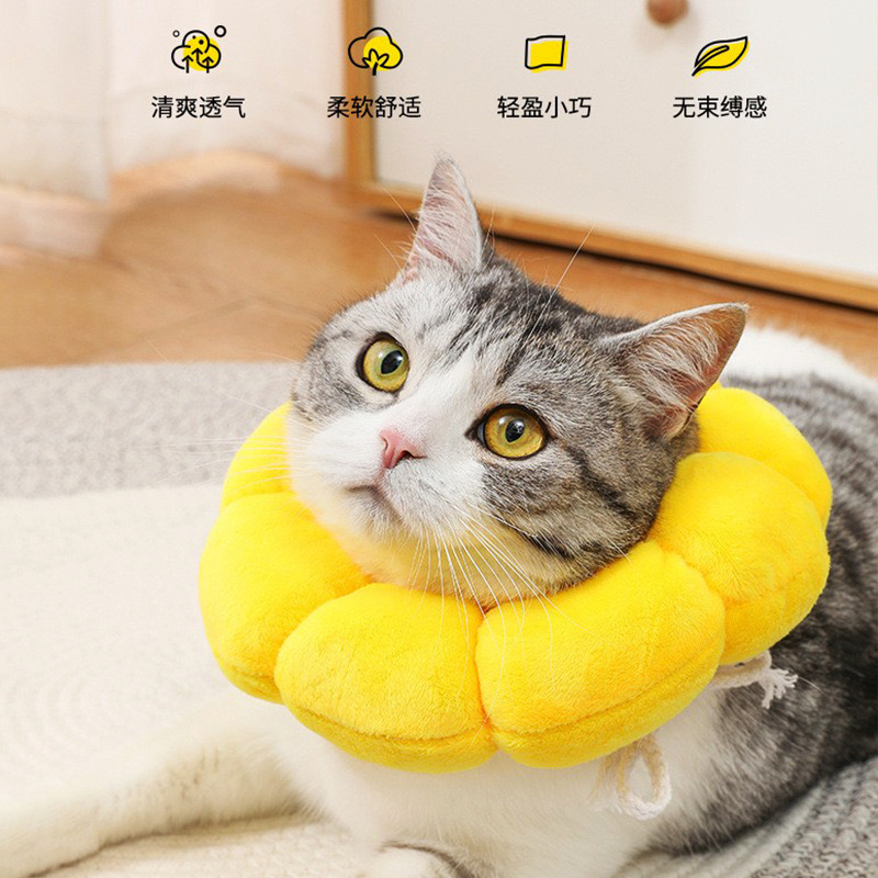 伊丽莎白圈猫项圈猫咪项圈绝育牢固防舔猫咪项圈颈圈头套驱虫项圈