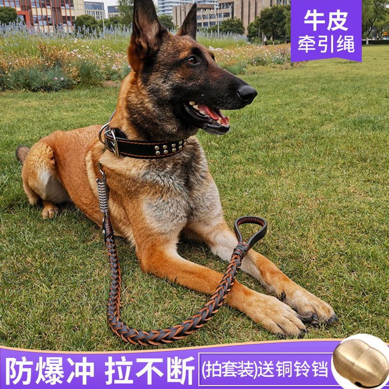 狗链子牵引绳牛皮中大型犬马犬德牧金毛拉布拉多遛狗绳子项圈脖套