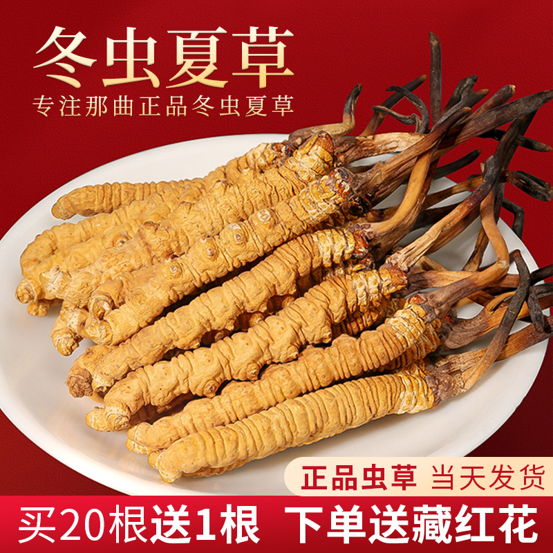 【普达专属】干冬虫夏草正品饱满虫草干货高品质礼品装