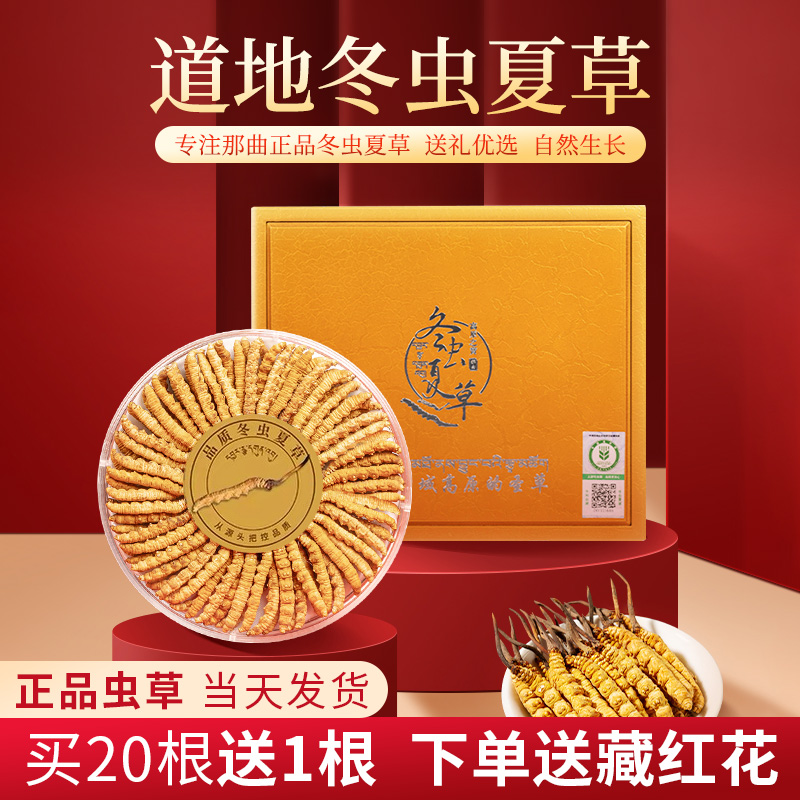 【普达专属】冬虫夏草西藏那曲虫干货送礼佳品50根礼盒装品