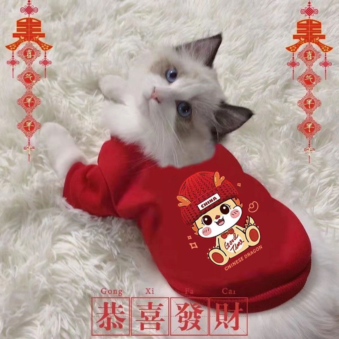 猫咪狗狗衣服秋冬季防掉毛布偶猫衣服宠物衣背心小猫衣服马甲防冻