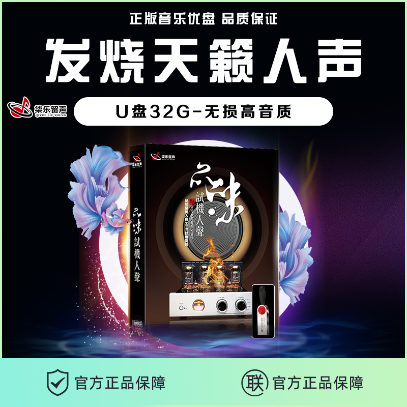 HiFi发烧人声歌曲u盘精选无损发烧女声男声浑厚音色发烧歌曲MP3歌