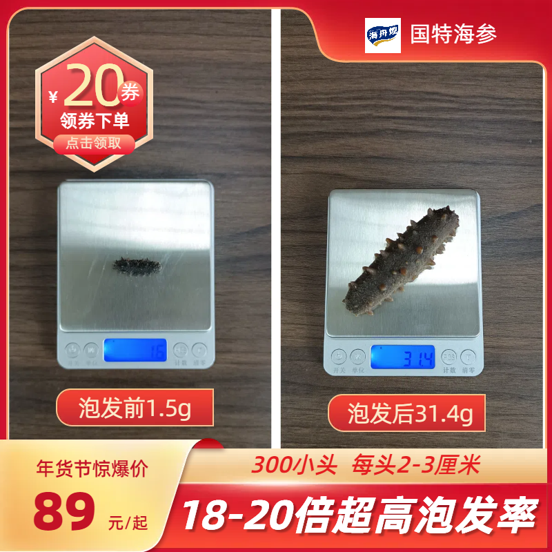 海舟煌正宗大连淡干海参-18-22倍高泡发率-高性价比-适合每天一头