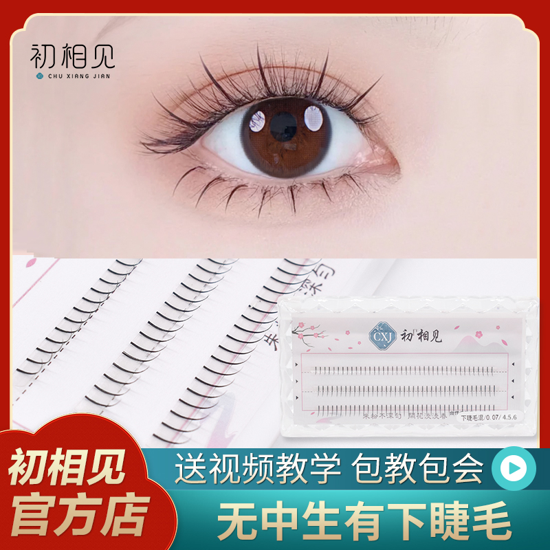 初相见单簇单根仙子下睫毛 假睫毛卷翘纤长磨尖 三条装精致眉眼