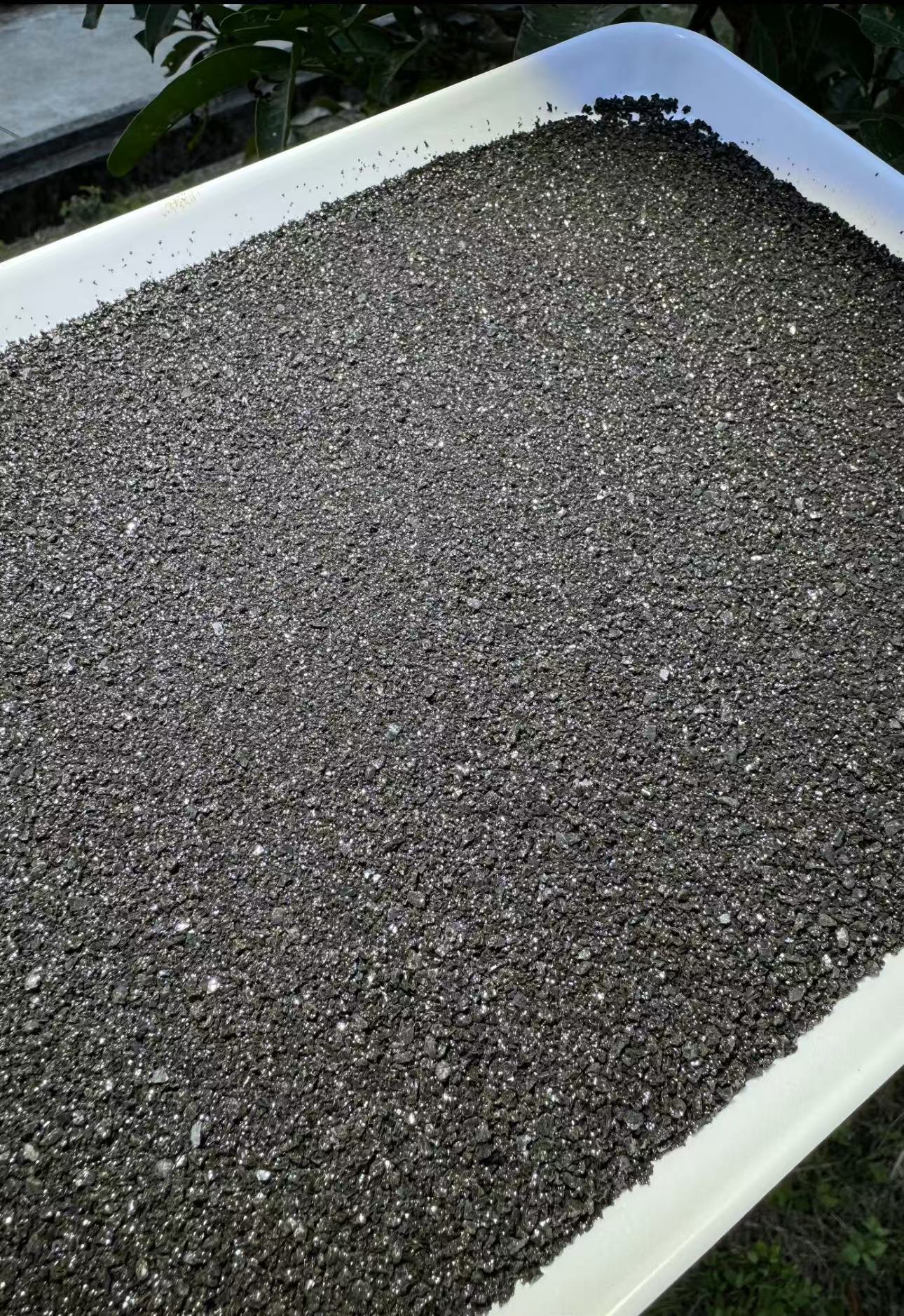 【娜娜推荐】现收土特产桦-树-茸-黑金子100克--500克食用农产品