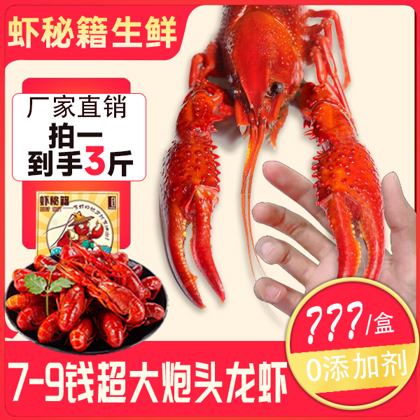 虾秘籍店铺爆款！7-9钱炮头吮指小龙虾1500g整虾加热即食夜宵干饭