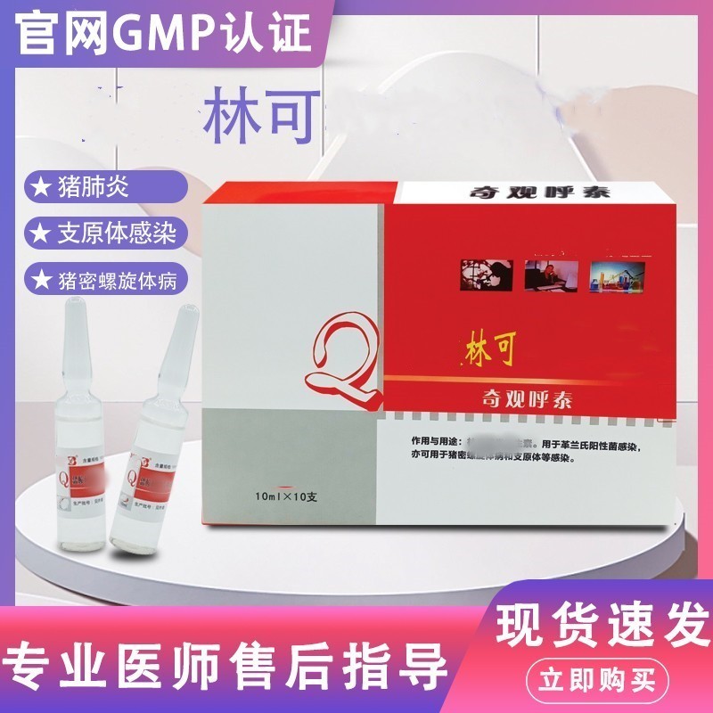 养殖场盐酸林可注液猪肺炎支原体感染猪密螺旋体病猫狗猪正品通用