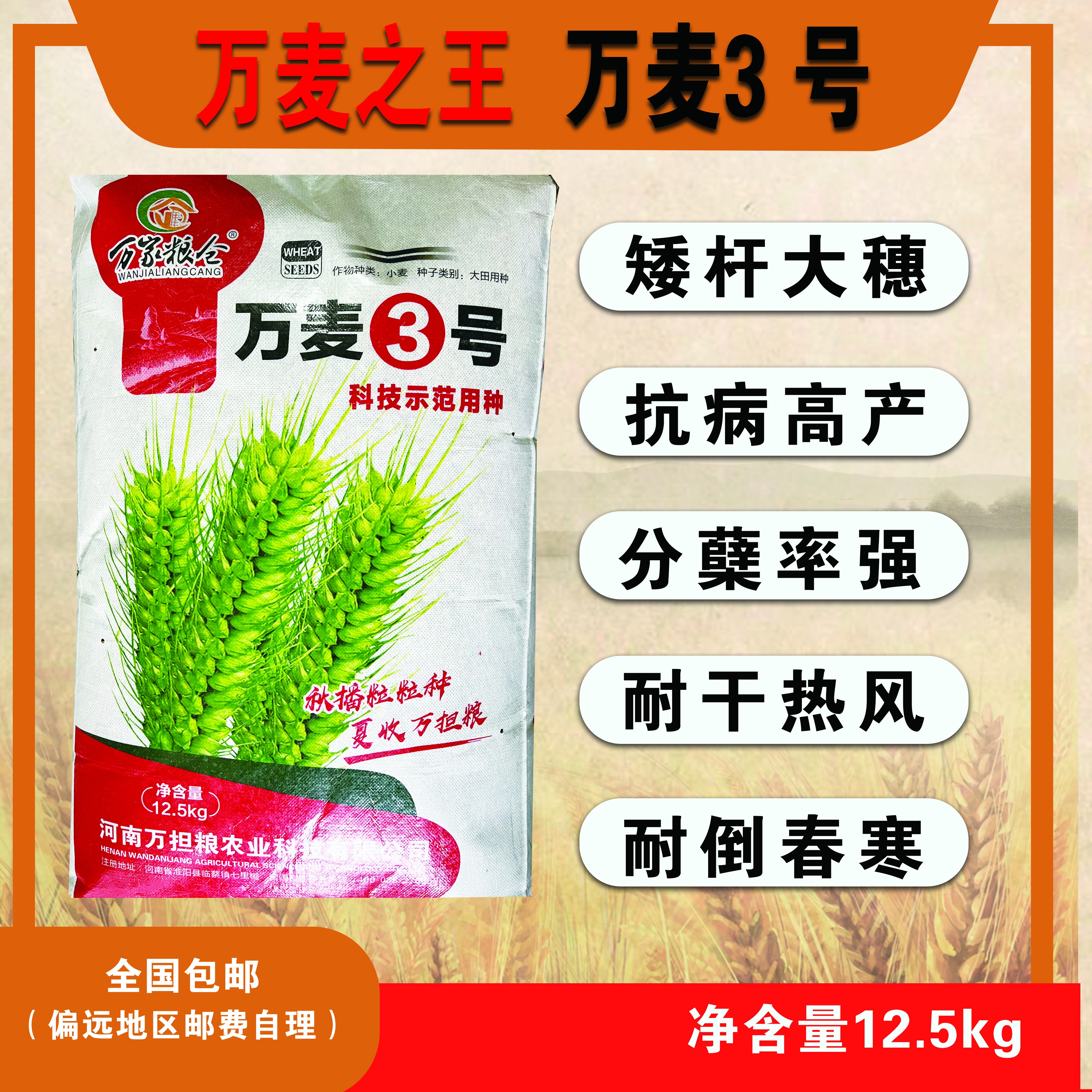 万麦之王--万麦3号，矮杆大穗，抗病高产，1袋起发。