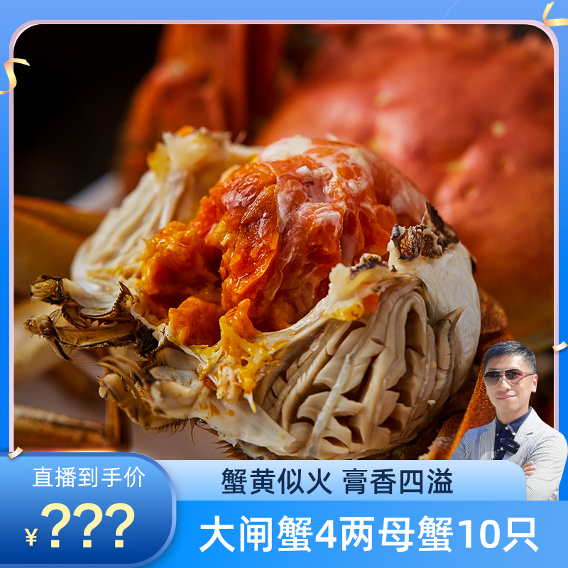 大闸蟹10只大闸蟹活蟹 母蟹4两新鲜优质饱满