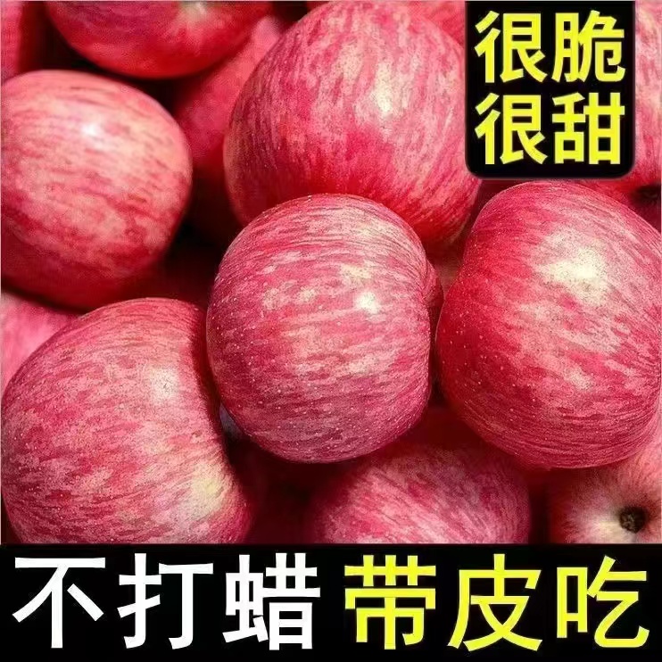 【脆甜】陕西红富士苹果新鲜水果当季脆甜多汁整箱9.5-10斤包邮2