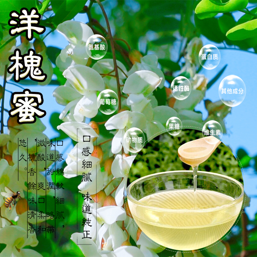 小劳蜂陕西延安洋槐蜜真蜜新蜜原蜜纯蜜槐花蜜