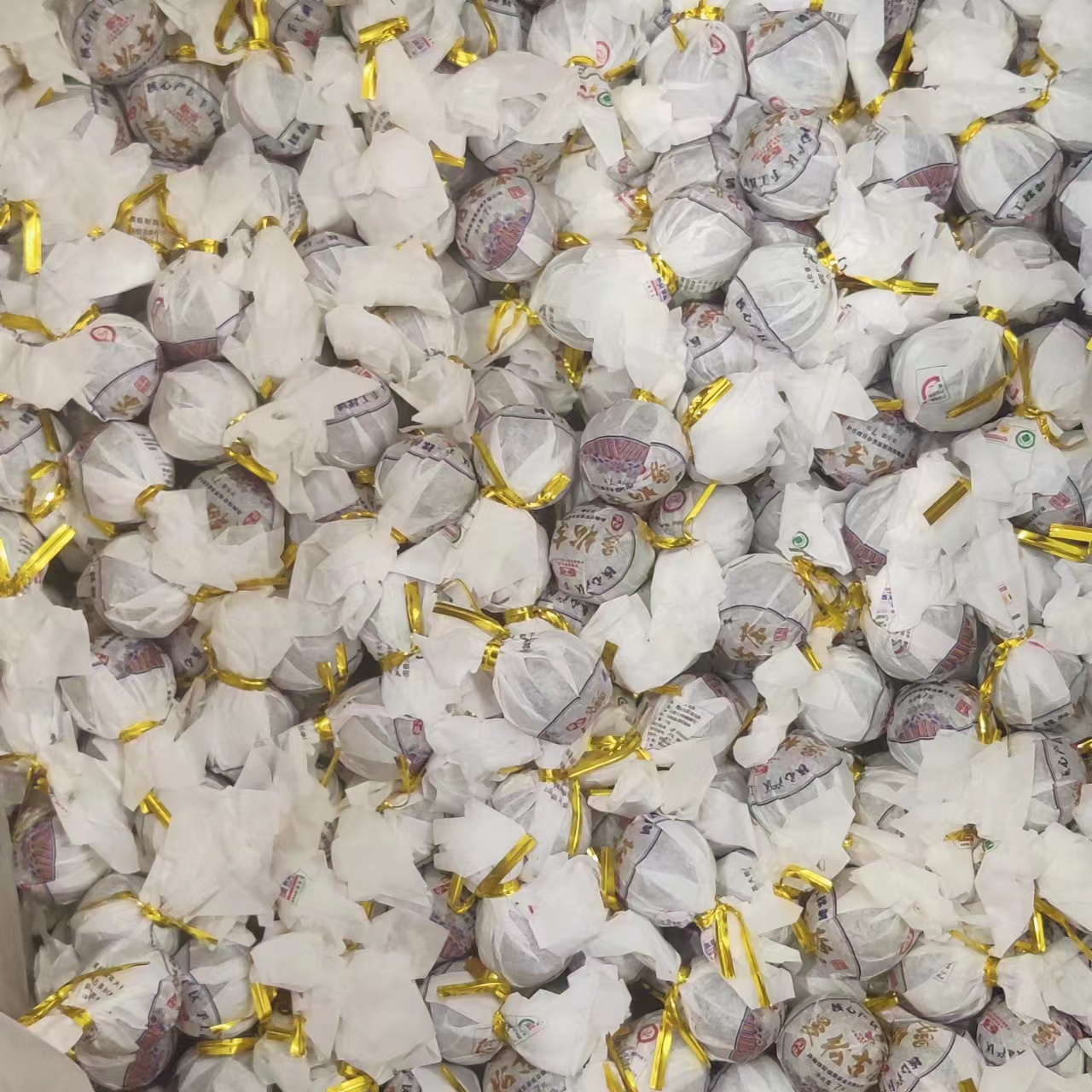 【13279-23】龙珠 曼松 普洱茶生茶 6g