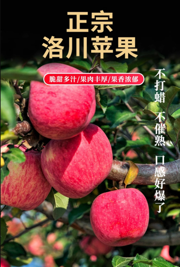 苹果apple超甜好吃洛川苹果甜红富士苹果