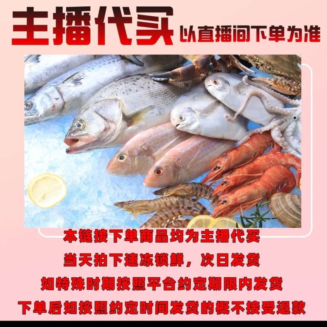 阳江市海陵岛海捕杂鱼500g起拍（退单主播要赔钱真心要再拍）
