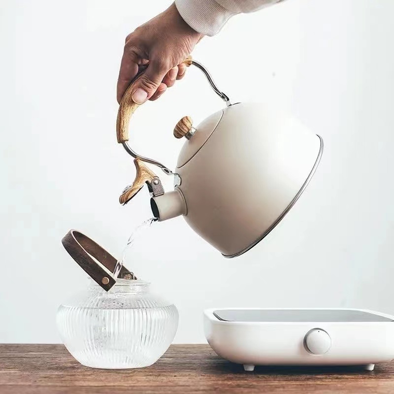 德国304鸣笛烧水壶不锈钢家用外露营电陶煤气电磁炉通用