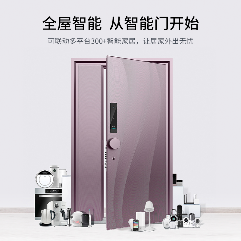 菲马仕明月清风简约轻奢高端智能入户门人脸识别单门双开子母门