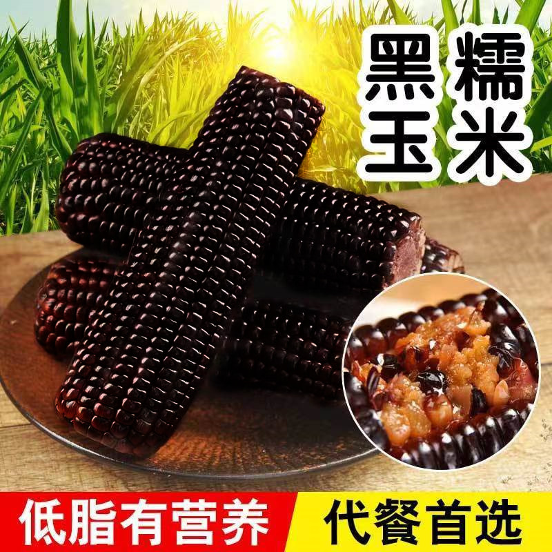 东北甜糯精品小棒黑玉米香软鲜（180g-240g)/根营养食用香糯黑土地