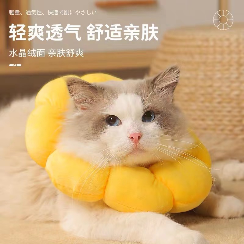 伊丽莎白圈猫咪猫咪项圈猫项圈猫脖圈猫咪围脖项圈猫头套宠物防抓