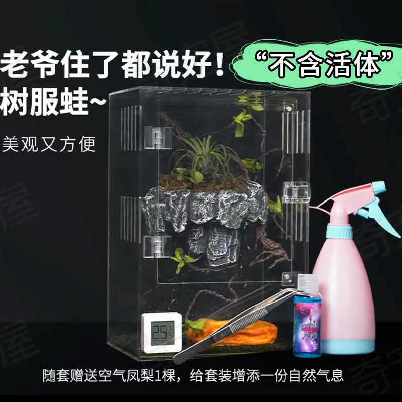 老爷树蛙标配饲养套装器材 不含树蛙