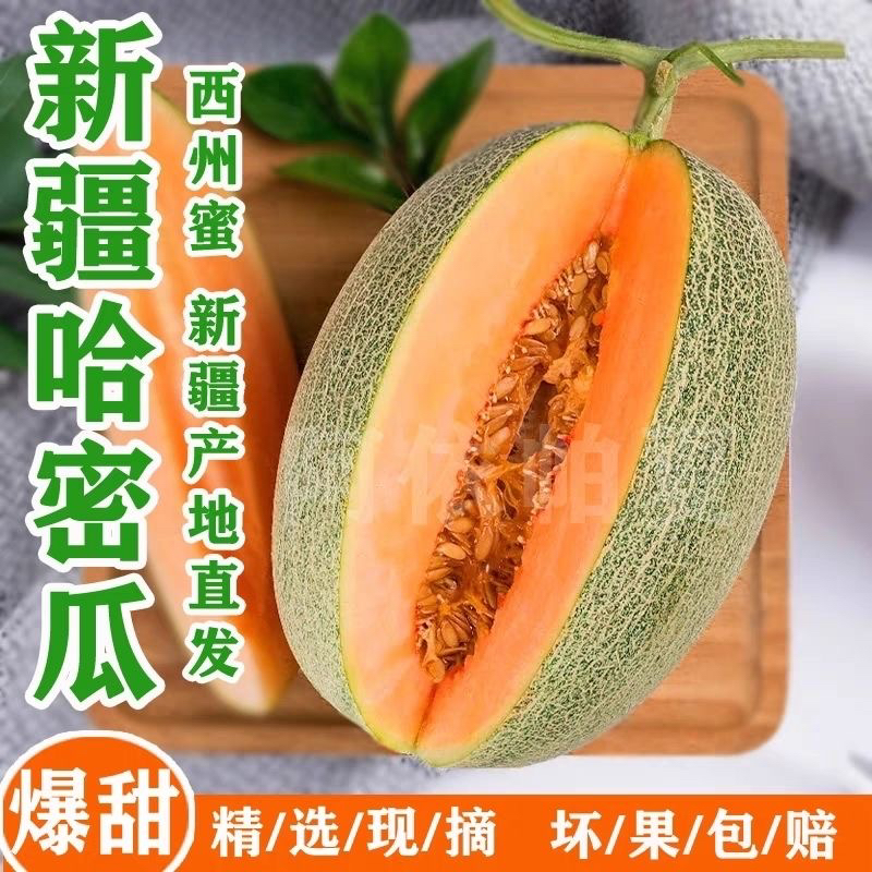 【自然熟露天陆地瓜】新疆吐鲁番直发包邮火焰山哈密瓜西州蜜25号