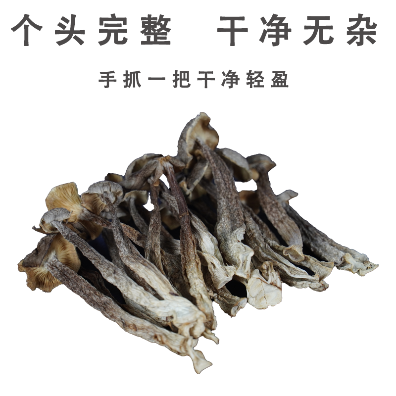 农家鹿茸菌干货煲汤营养